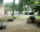 บริการกำจัดมดสถานที่ถ่ายทำโฆษณาสินค้า