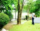 บริการกำจัดมดสถานที่ถ่ายทำโฆษณาสินค้า