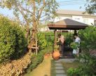 บริการกำจัดปลวก มด แมลงสาป
