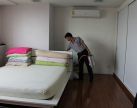 บริการกำจัดมด แมลงสาป