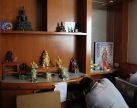 บริการกำจัดมด แมลงสาป