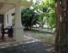 บริการกำจัดปลวก มด แมลงสาป