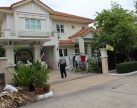 บริการกำจัดปลวก มด แมลงสาป