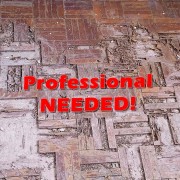 Professional NEEDED!